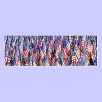 America profile cards