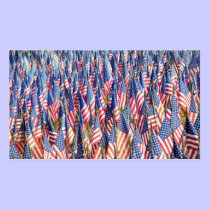 America profile cards