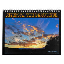 America the Beautiful 2010 Calendar