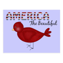America The Beautiful Bird postcards
