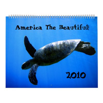 America The Beautiful! Calendar by dsbpt2002