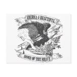 America the Beautiful Postcard