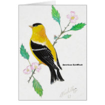 americam goldfinch, American Goldfinch cards by Eye4birds americam goldfinch, American Goldfinch cards