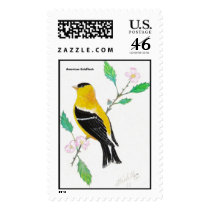 americam goldfinch, American Goldfinch postage by Eye4birds americam goldfinch, American Goldfinch postage