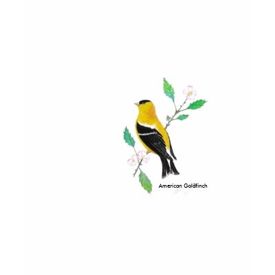 americam goldfinch, American Goldfinch Shirts by Eye4birds