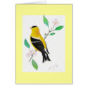 americam goldfinch cards by Eye4birds americam goldfinch cards