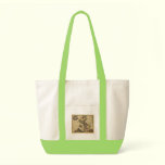 Americam utramque - North & South America Map bags