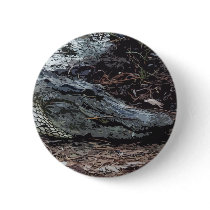 American Alligator Button