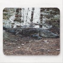 American Alligator Computer Mousepad