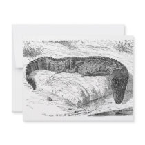 American Alligator invitations