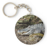 American Alligator Keychains