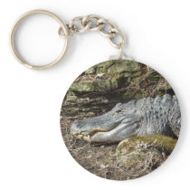 American Alligator Keychains