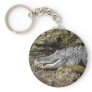 American Alligator Keychains