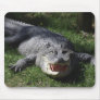 American Alligator Mousepads