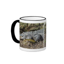 American Alligator Mugs