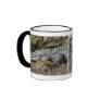 American Alligator Mugs