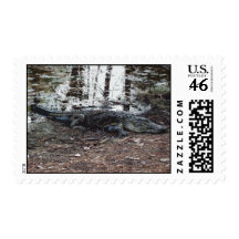 American Alligator Postage Stamps