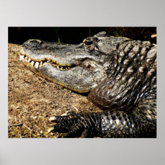 Awesomeness Posters, Awesomeness Prints &amp; Awesomeness Wall Art