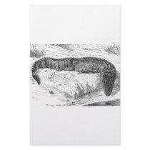 American Alligator Customized Stationery