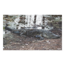 American Alligator Stickers