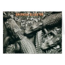 American Alligators, American Treasure Cards