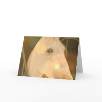 American Andalusian Greeting Card