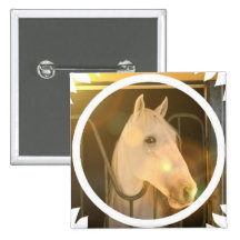 American Andalusian Square Button