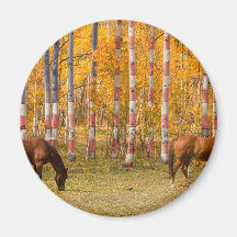 American Autumn Fridge Magnets