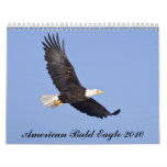 American Bald Eagle 2010 Wall Calendars