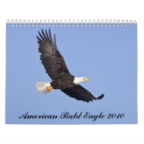 American Bald Eagle 2010 Wall Calendars