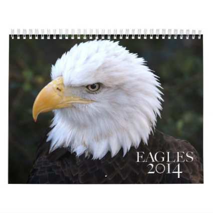 American Bald Eagle 2014 Calendar