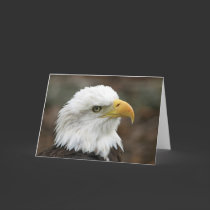 American Bald Eagle 2 Greeting Card