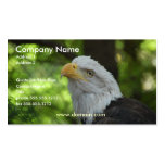 American Bald Eagle Business Card