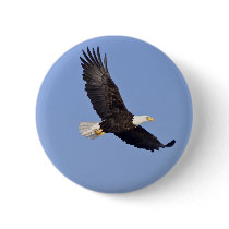 American Bald Eagle Pin