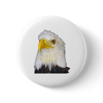 American Bald Eagle buttons