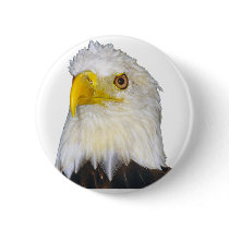 American Bald Eagle buttons