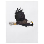 American Bald eagle Personalized Flyer