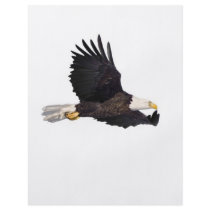 American Bald eagle Custom Flyer