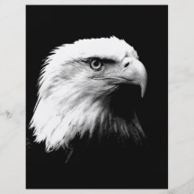 American Bald Eagle Full Color Flyer