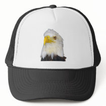 American Bald Eagle hats