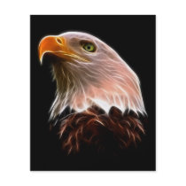 American Bald Eagle Head Flyer Design