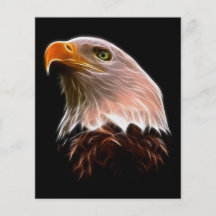 American Bald Eagle Head Flyer Design
