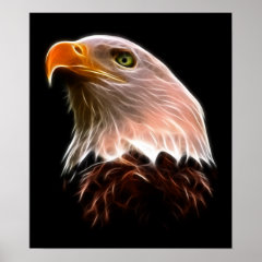 American Bald Eagle Head Posters