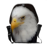 'American Bald Eagle in Portrait' Courier Bag