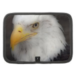 'American Bald Eagle in Portrait' Organizer