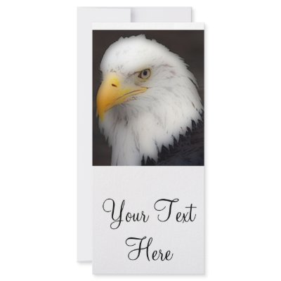 'American Bald Eagle in Portrait' Rack Cards by nativeamericana