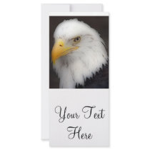 'American Bald Eagle in Portrait' Rack Cards