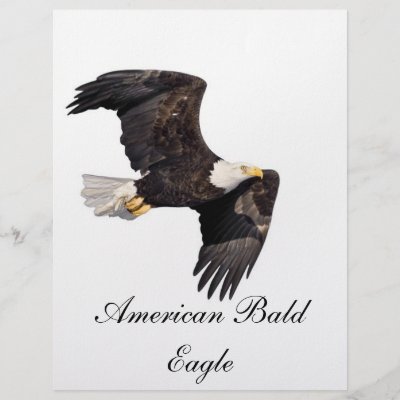eagle letterhead
