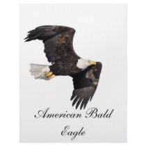 American bald Eagle Custom Letterhead