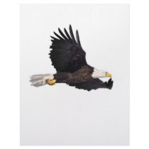 American Bald eagle Custom Letterhead